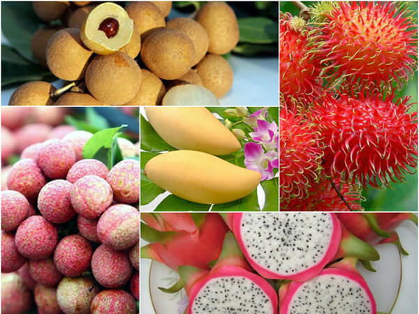 bảo quản trái cây xuất khẩu