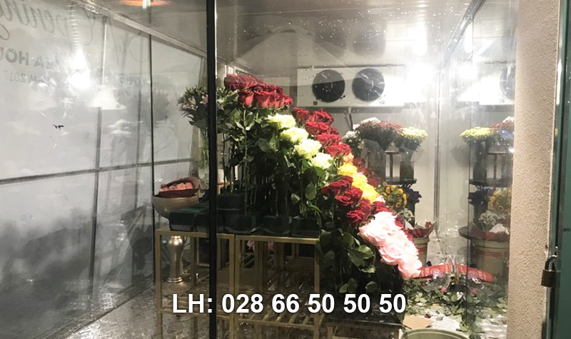 kho lạnh bằng kính bảo quản hoa tại 38º Flowers